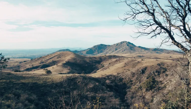 De anti-aging coupe: Dit kapsel laat je na je 50e direct jaren jonger lijken